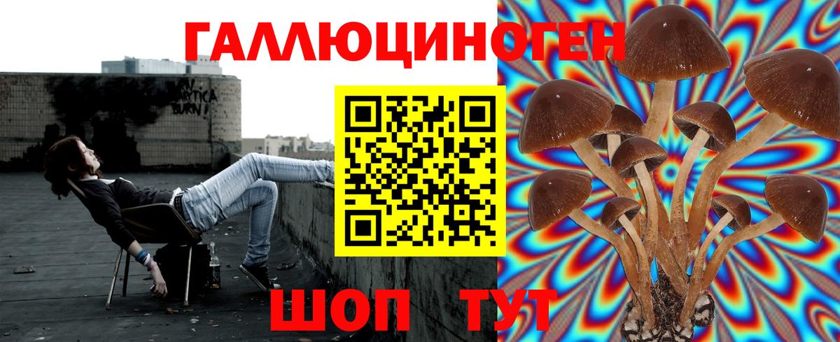 Псилоцибиновые грибы Cubensis Отрадный